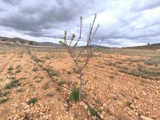 Residential Plot in N/a