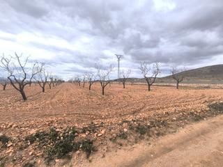 Residential Plot in N/a