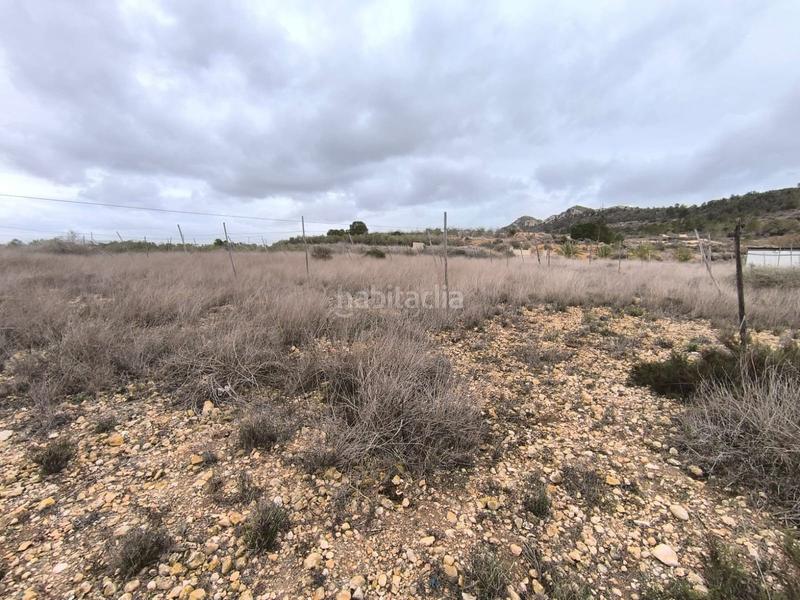 Foto 312ea020-7090-488f-bf35-07b821ac9578. Mas dans n/a dans Romana (la)