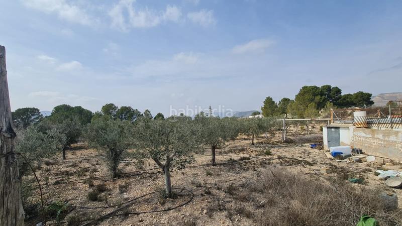 Foto 530bd252-c34e-4da4-82ab-586749af6507. Mas dans n/a dans Romana (la)