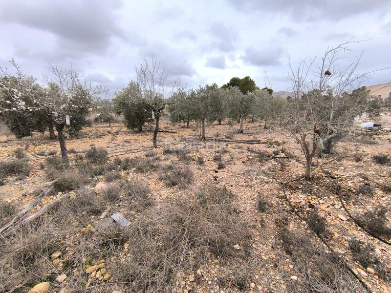 Foto ced1d689-62b0-455f-b51b-f5417987c5cf. Mas dans n/a dans Romana (la)