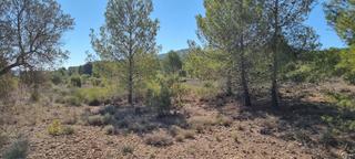 Residential Plot in N/a