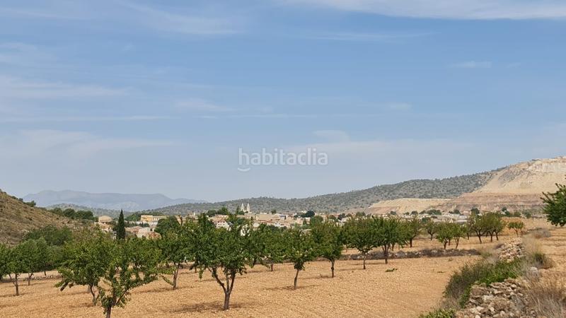 Foto 54b132e0-db9c-4c91-baa1-beeb5e90431e. Terreno residencial en n/a en Algueña
