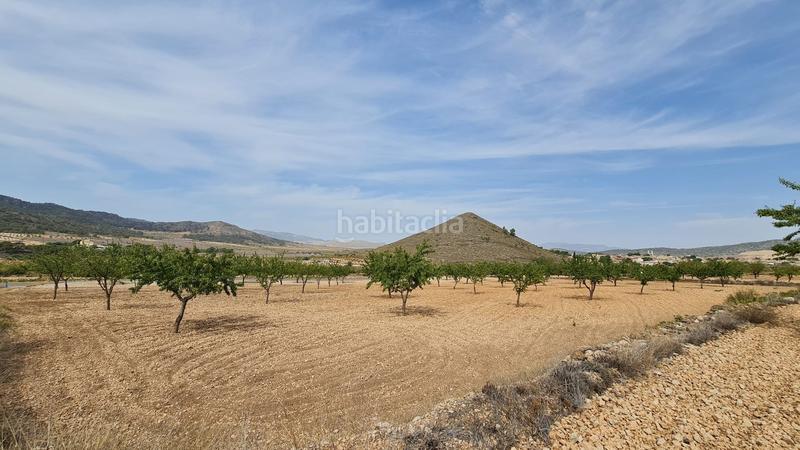 Foto 55ab04ac-b84b-4b91-8c5d-868fadaa225e. Terreno residencial en n/a en Algueña