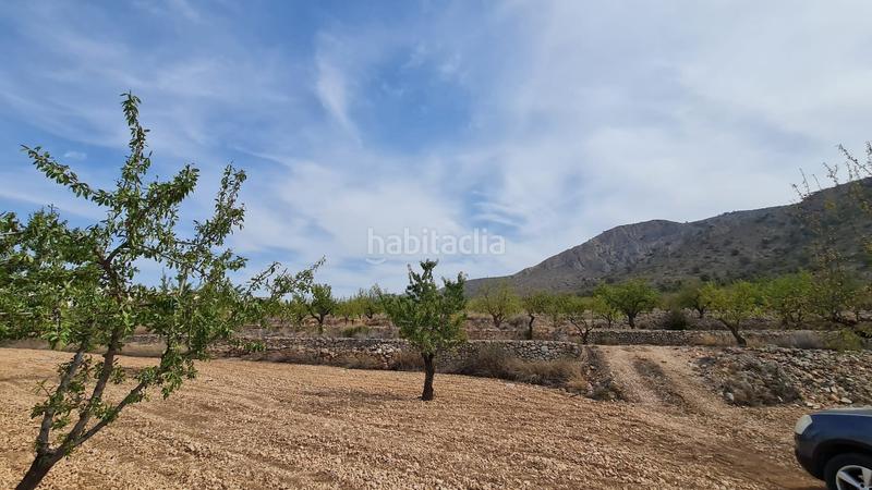 Foto db0f62e6-931c-4b44-8df2-96f01ea04490. Terreno residencial en n/a en Algueña
