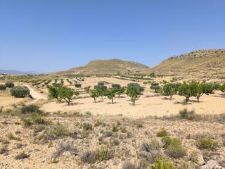 Residential Plot in N/a