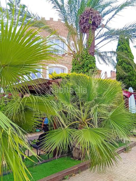 Foto e8f06ec5-ff6d-4b83-b8af-7c136ed7520f. Apartamento en n/a en La Florida Orihuela