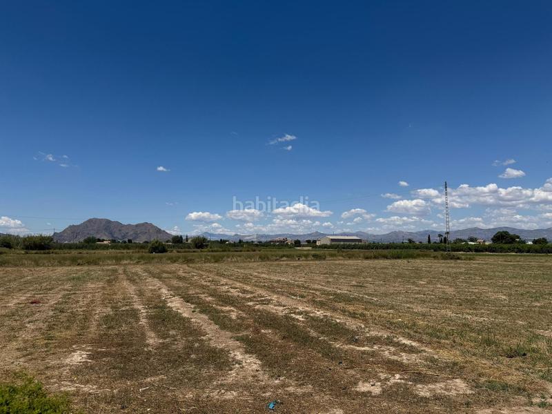 Foto 84a0e8f6-411c-49f5-b7d6-1d7b1354bdae. Apartamento en n/a en Almoradí