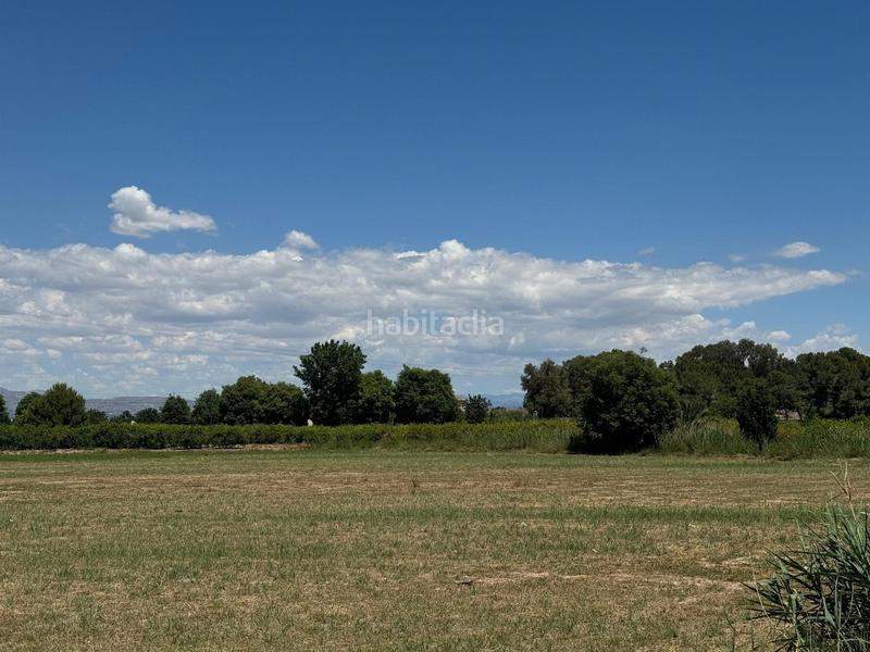 Foto 89113532-3f95-4255-85fe-6bf8987f0192. Apartamento en n/a en Almoradí