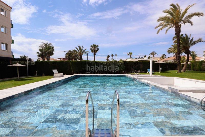 Foto 7e0cbd51-e683-4d38-98b8-65fe874a6cec. Apartamento en n/a en Playa Flamenca Orihuela