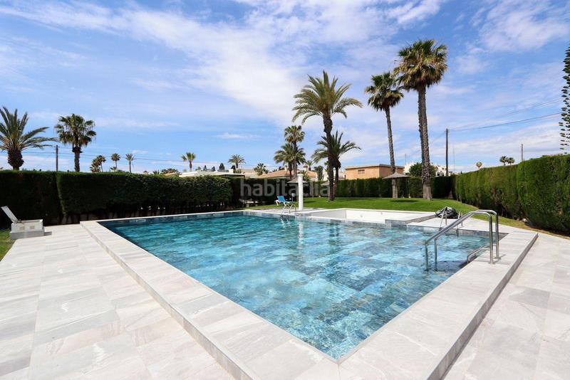Foto d431b332-a6b6-4361-86be-43afbfe7b621. Apartamento en n/a en Playa Flamenca Orihuela