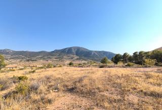 Residential Plot in N/a