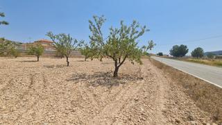 Residential Plot in N/a