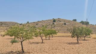 Residential Plot in N/a