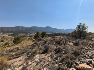 Residential Plot in N/a