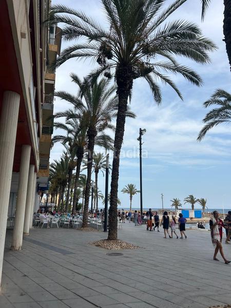 Foto 5c16467c-470d-4df8-b7ba-2c075c593a23. Miete appartement in san pascual 210 in Avenida Habaneras - Curva de Palangre Torrevieja