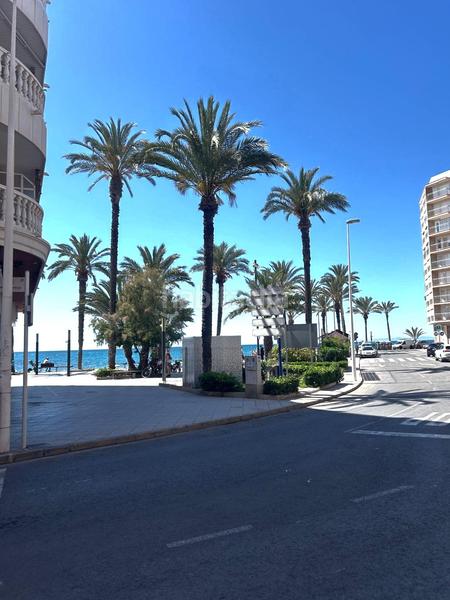 Foto 912916b0-7885-47dc-9f9f-18028c0a792c. Miete appartement in san pascual 210 in Avenida Habaneras - Curva de Palangre Torrevieja