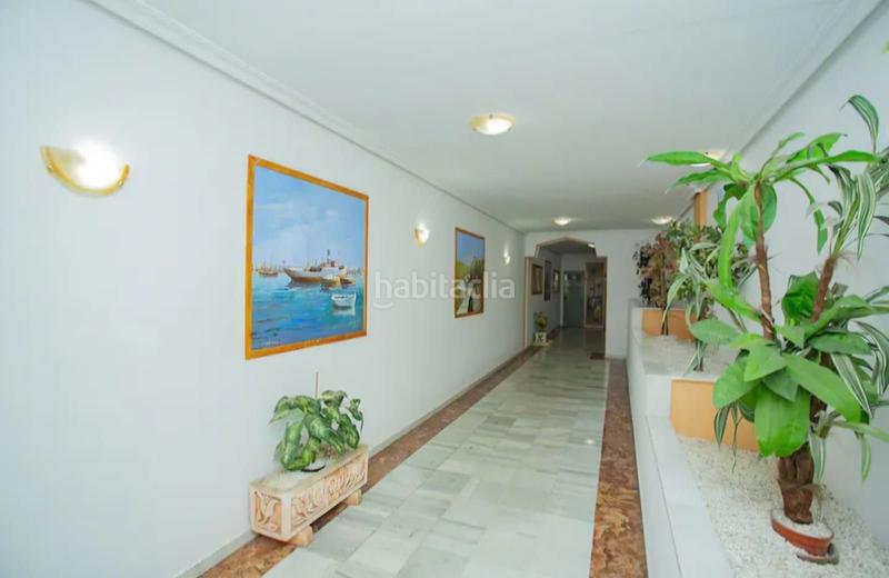 Foto 139f4065-abde-4041-8ff0-7bcfb60ef563. Alquiler apartamento en calle bergantin 37 en Avenida Habaneras - Curva de Palangre Torrevieja