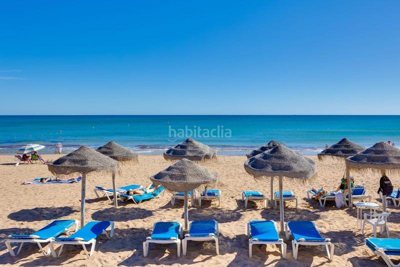 Foto cffc9cfa-e316-44a8-b76b-c68e9bfe83cd. Piccolo appartamento in n/a in Los Europeos Torrevieja