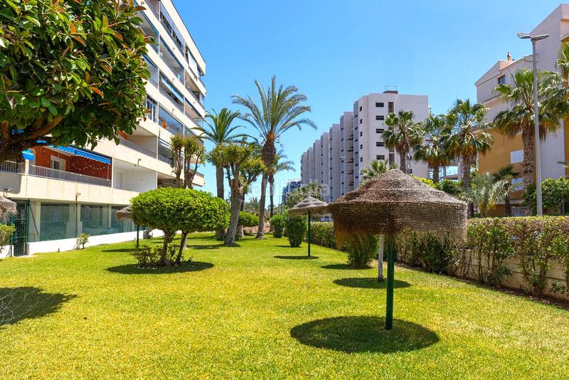 Foto e69cf5f1-21a1-4f27-b937-51b39ed4628d. Appartement dans n/a dans Punta Prima Torrevieja
