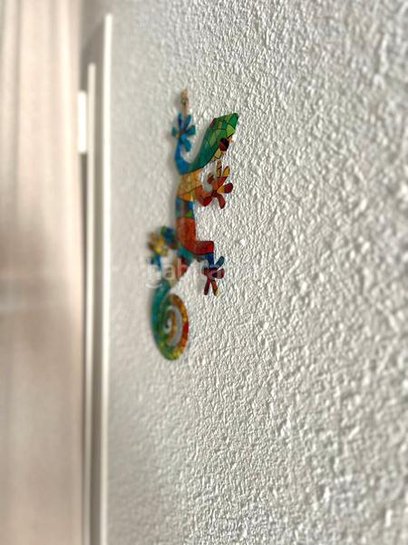 Foto d09f7a6d-8f06-48d1-902b-7d1b85e23b8f. Alquiler casa en c. monte pelado 9c en Los Balcones-Los Altos Torrevieja