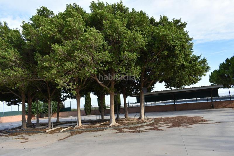 Foto 7973760a-7313-4292-abb5-6104e6eecbdf. Bauernhof in n/a in Torre-Pacheco Torre - Pacheco