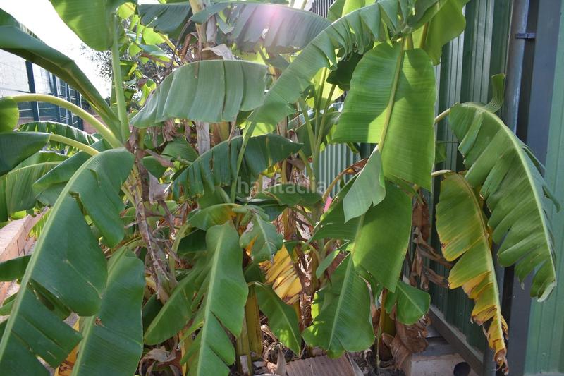 Foto 5b180178-53b0-4b0a-b0d4-be2fcc784187. Masía en n/a en Torre-Pacheco Torre - Pacheco