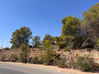 Residential Plot in N/A