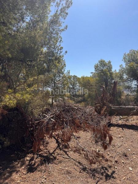 Foto f8e4c2be-73d9-4600-85d8-3d54d0883c5b. Terrain résidentiel dans n/a dans Golf Bahía Finestrat