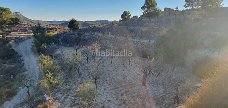 Foto 164fda42-9670-4ce5-b059-c0ca7eccf9fe. Terreno residenziale in n/a in Relleu