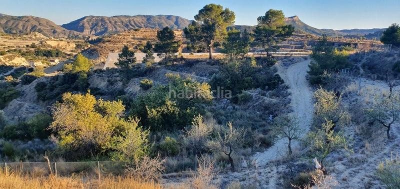 Foto 934a0fee-9433-4b9f-8bcb-d35db8902175. Terreno residenziale in n/a in Relleu