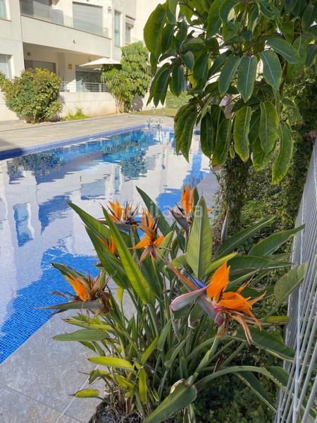 Foto a2e6f962-cc92-4ece-9720-db31e71535b9. Haus in n/a in La Veleta Torrevieja