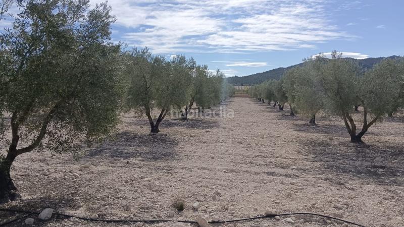 Foto 4f498a88-dfbb-406f-8222-eb75bbff93b3. Terreno residencial en n/a en Salinas