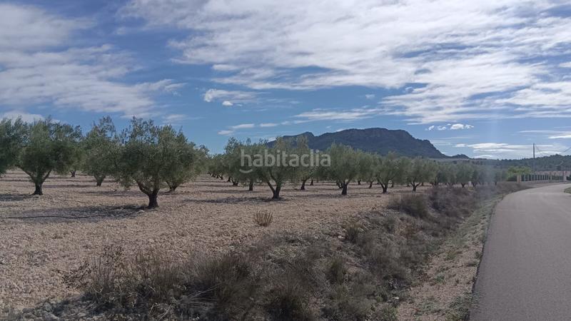 Foto dd48a145-486b-43d1-8128-438fc9072d38. Terreno residenziale in n/a in Salinas