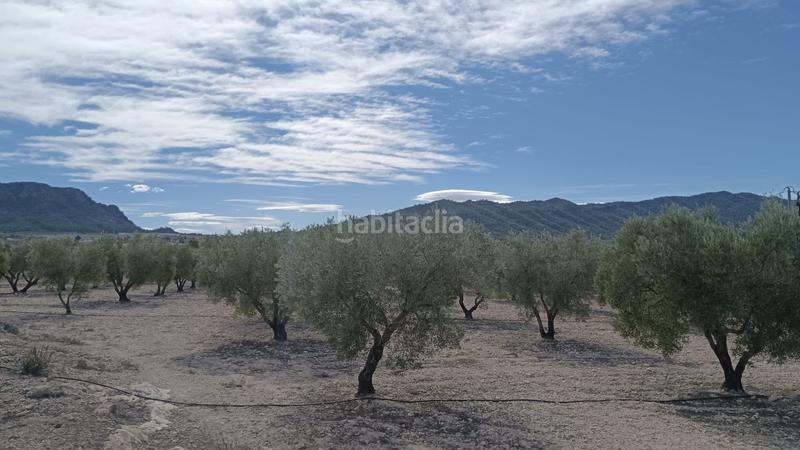 Foto e8a0607a-83d6-4237-88fc-4300e109fa6c. Terreno residenziale in n/a in Salinas