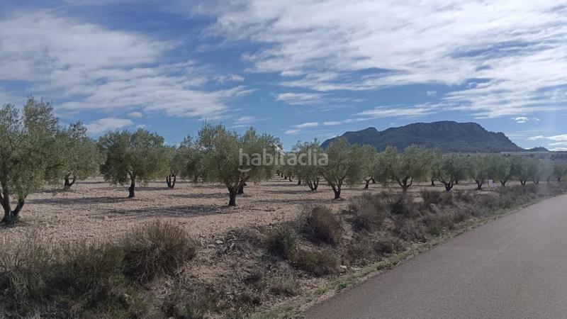 Foto e06f8c0e-f68a-471b-94e5-aa5d2fdc3837. Wohngrundstück in n/a in Salinas