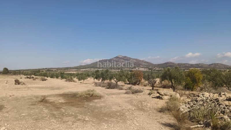 Foto 245af634-cec6-4803-bc07-31cd81fa48b7. Terreno residenziale in n/a in Salinas