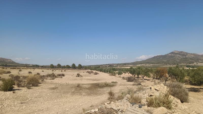 Foto 4979c4d4-20ec-4402-bd9f-87e4a3d277b0. Terreno residenziale in n/a in Salinas