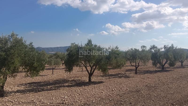 Foto 5654a203-1a63-4154-ab39-56c85ca562d3. Terreno residenziale in n/a in Salinas