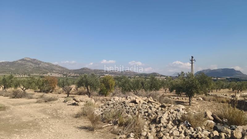 Foto cd3beba2-21a2-4e1c-b43b-e3852f09c5f2. Terreno residenziale in n/a in Salinas