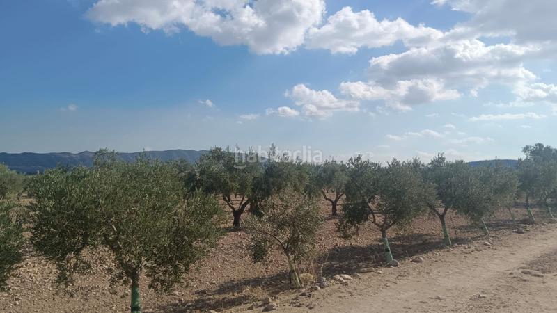 Foto e8ead08b-a3db-4d7d-ba6e-3f311cc3145d. Terreno residenziale in n/a in Salinas