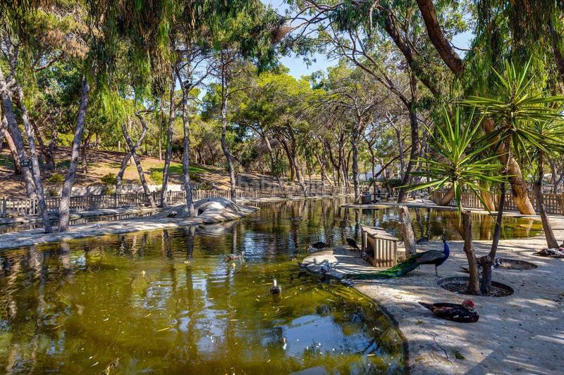 Foto dbc15834-1d9c-4cb0-9be2-12778490680b. Apartment in n/a in Las Viñas Guardamar del Segura