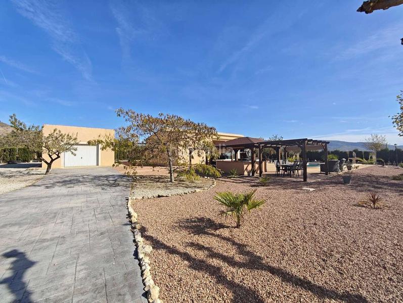 Foto 62714524-1932-46c2-83c2-012bfe8ceb3e. House in n/a in Sax