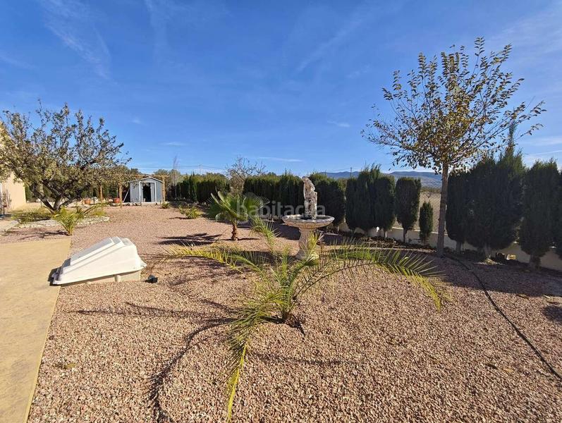 Foto beef90e5-e4ac-4a19-8333-1204eff77c54. House in n/a in Sax