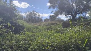 Residential Plot in N/a