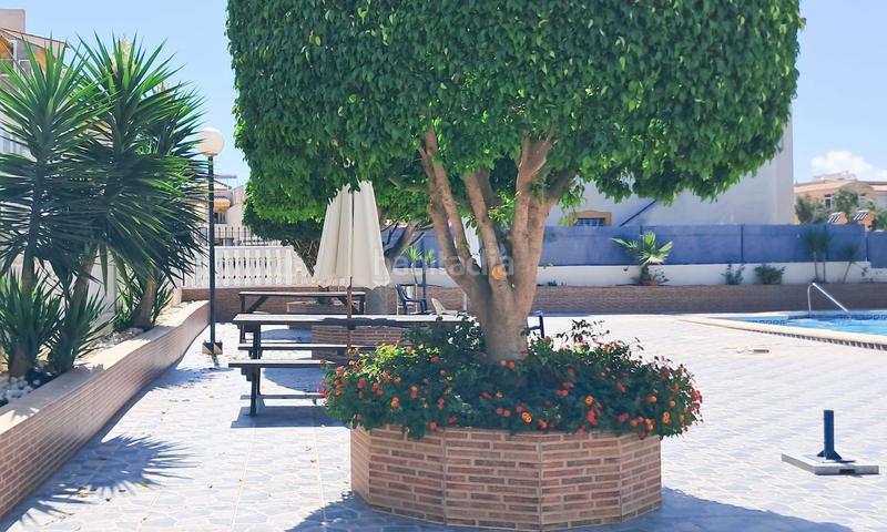 Foto dbc64c77-bc5d-43d0-8a34-03e2a259d1b0. Piccolo appartamento in n/a in Parque Acuático - Sector 25 Torrevieja