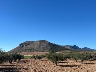 Residential Plot in N/a