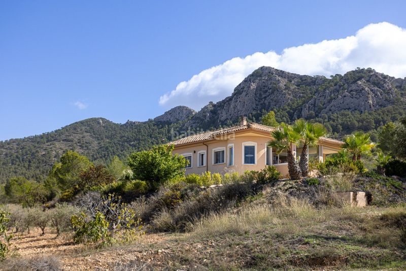 Foto ce1ec881-d068-41c3-85c8-b694269bb0e7. Casa a n/a a Jumilla