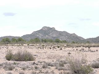 Residential Plot in N/a