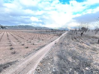 Residential Plot in N/a